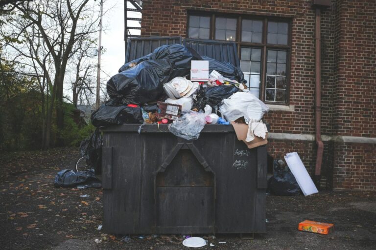 Ilustrasi Sampah Plastik Yang Kita Buang Kenny Eliason Unsplash