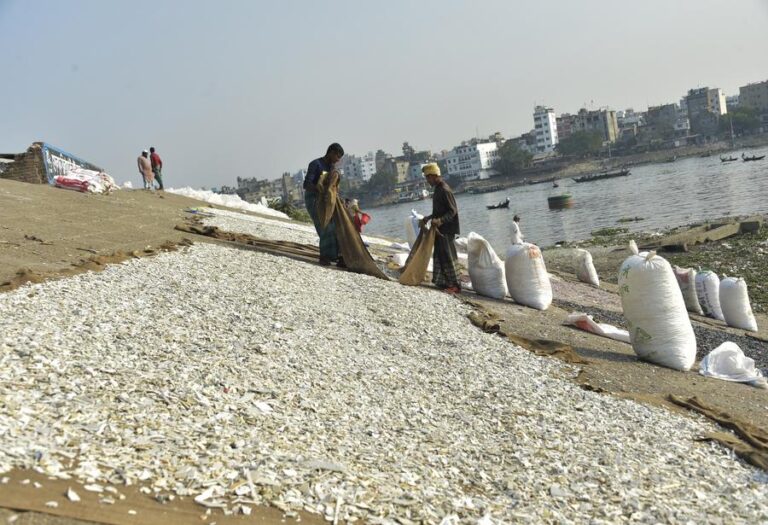Daur Ulang Plastik: Mengubah Krisis Sampah Menjadi Peluang di Bangladesh