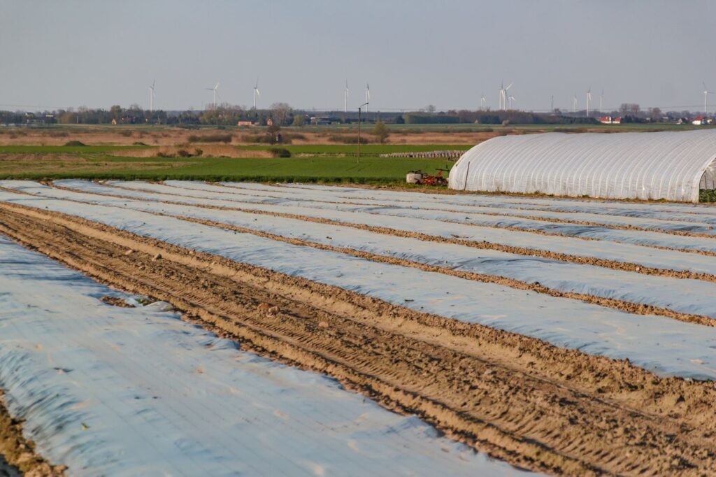 Wide farmland covered with plastic for the planting season